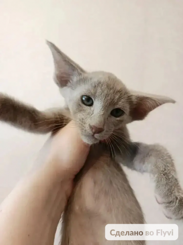 yw7djV2OhRFsvVi9nBuY5sUGEFvdYqWYcJHvQpLG