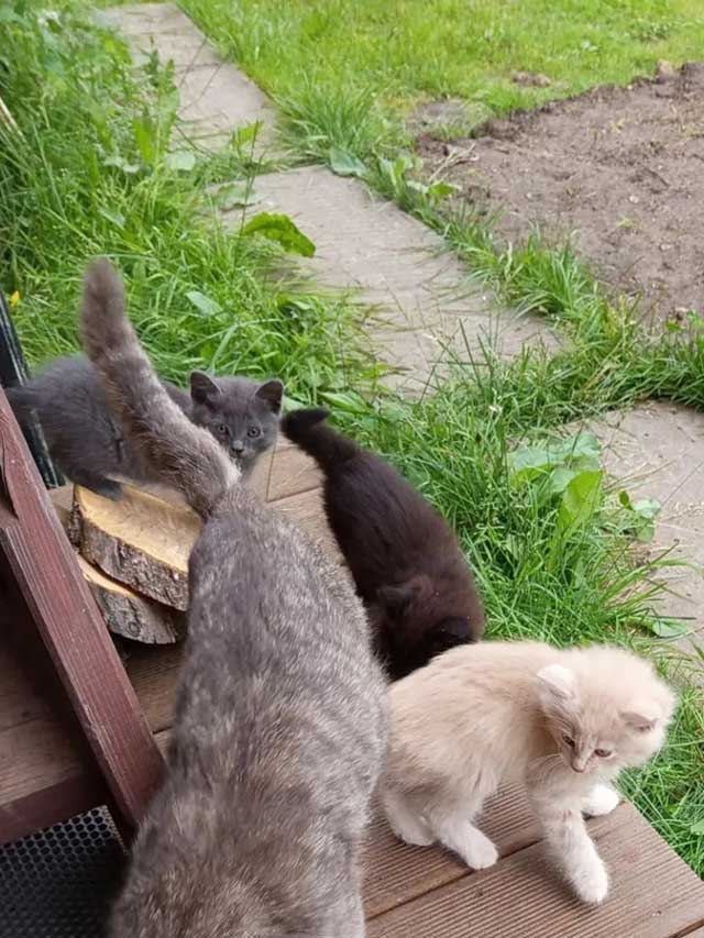 3-3
