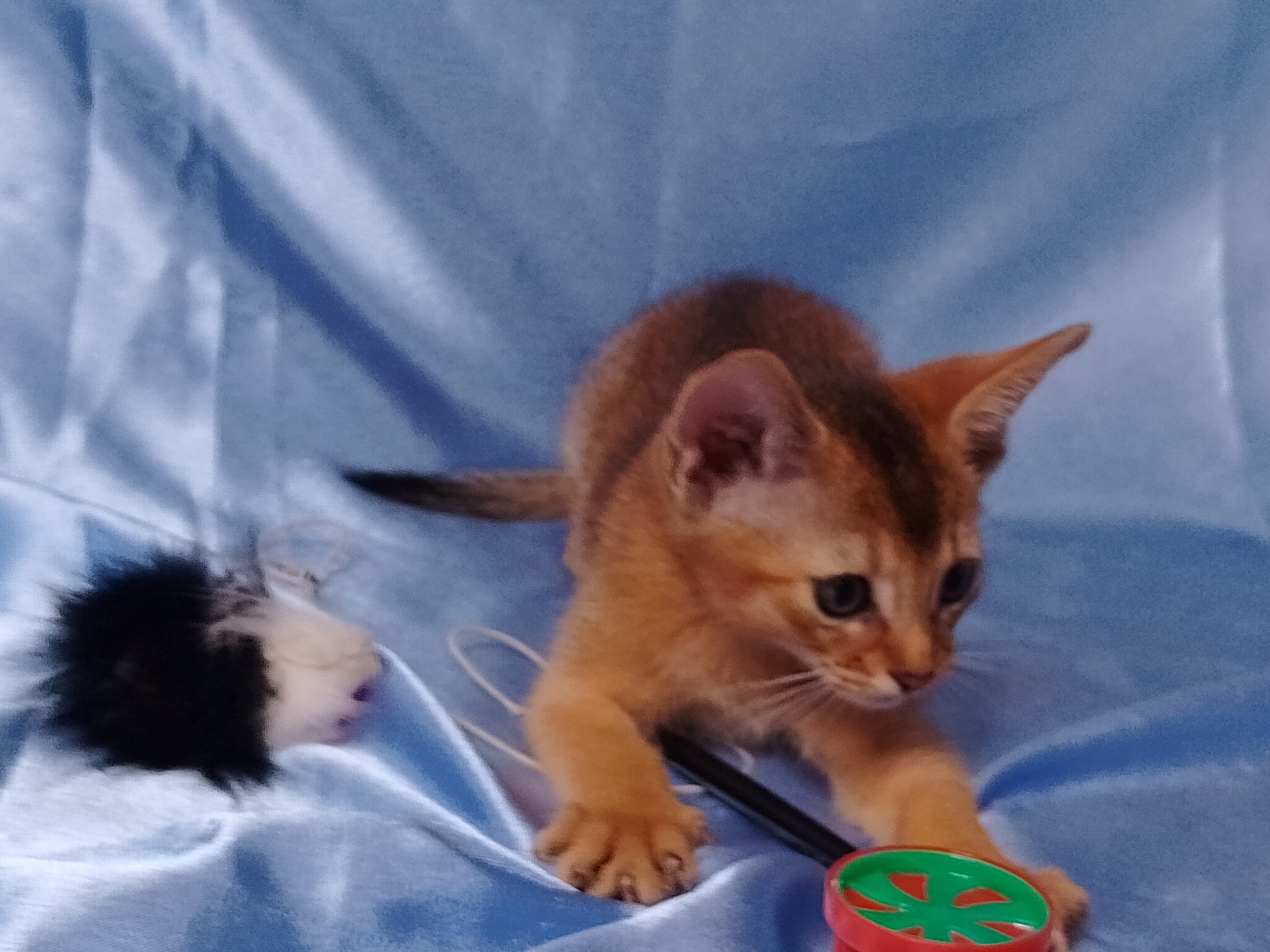 IMG_20260704_174023