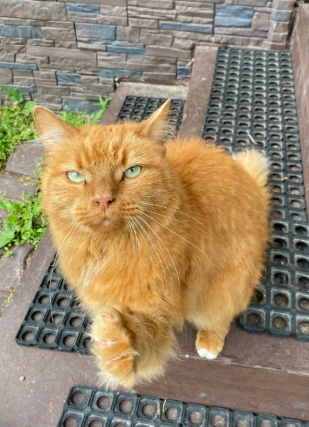 6