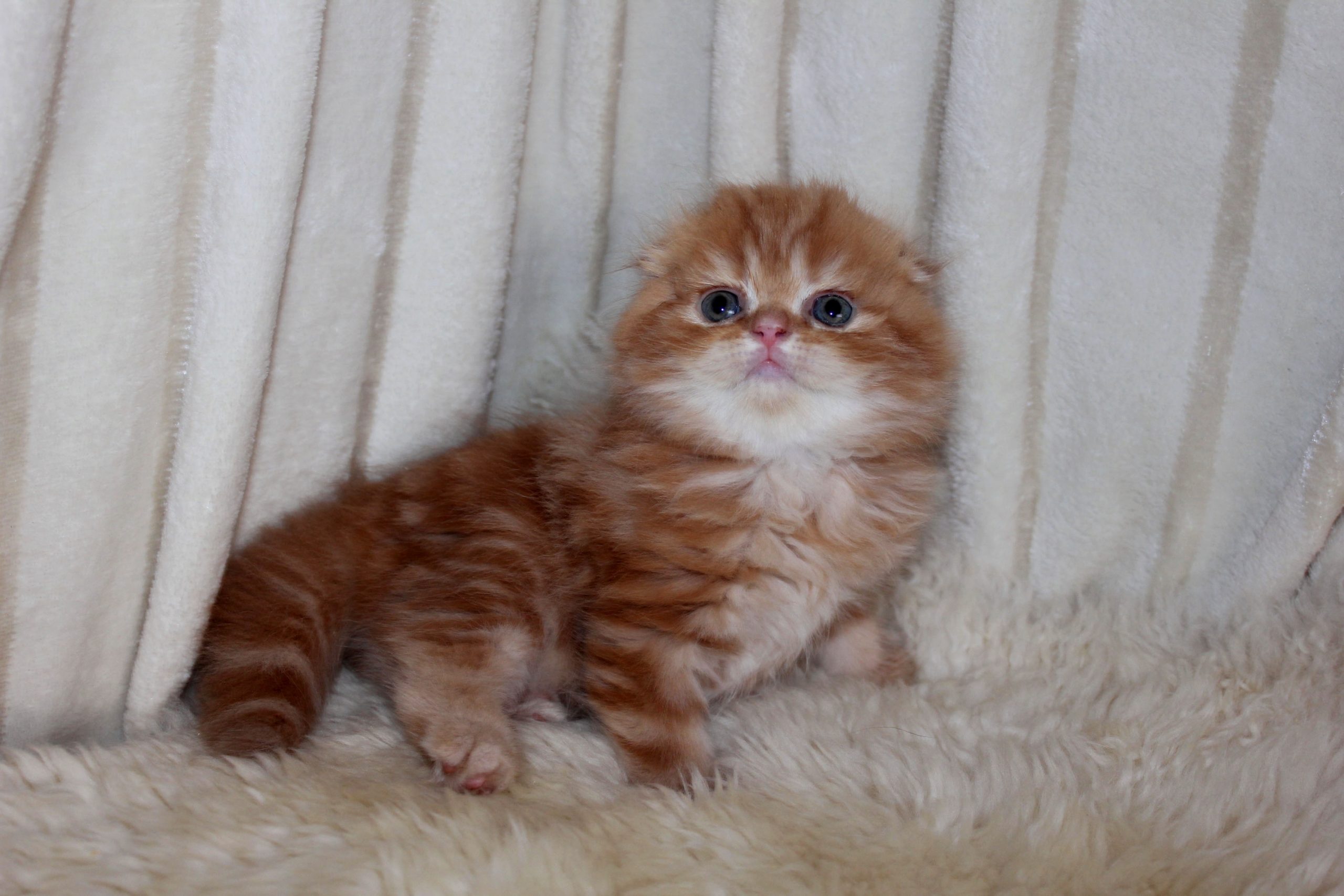 SAVE_20260807_183510