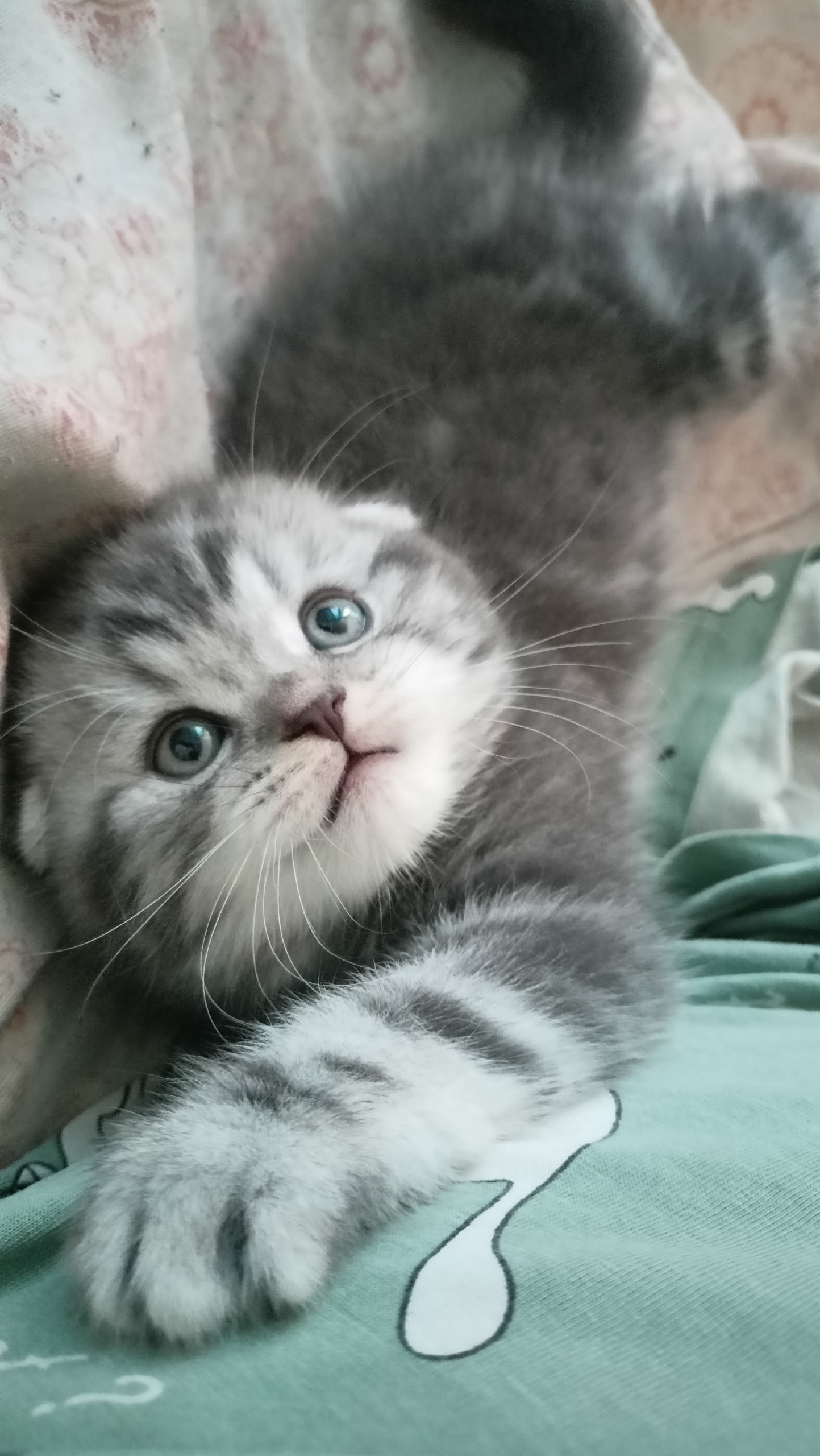 buNIeZHNLoMvQXK3Fu_KjvT0GykbwkcBpcOF_CxbMk9rWvIWRVe1e3JPwBhw8Mb2i1_FKQrh7Z7lmfNY7SOcmlsI