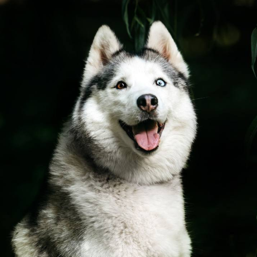 06