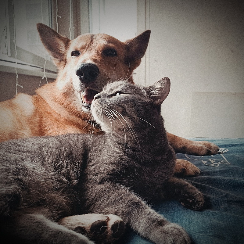 Pq-f_g6tFWbAVnJi-WC3O_dSNIy0kUgLejdtgvV0KTOAjqRrwMOtEffJmUa_uUiS3GeGMVhzLAOhWyxyPjXLFhDC