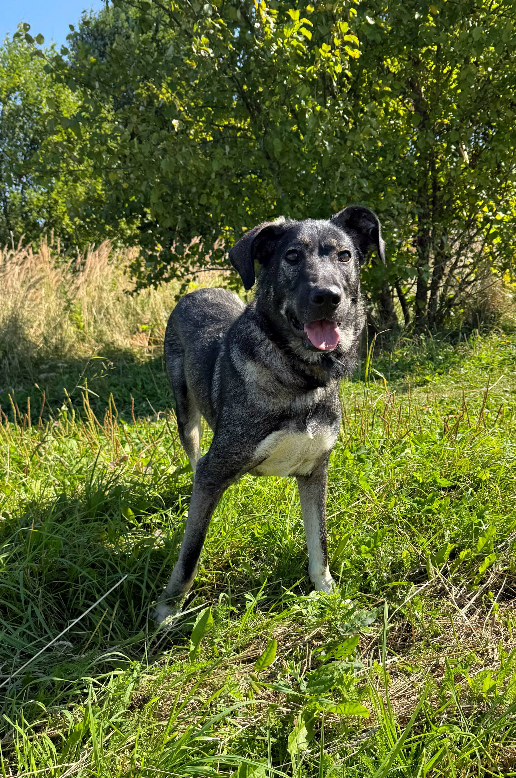 Rukkola5